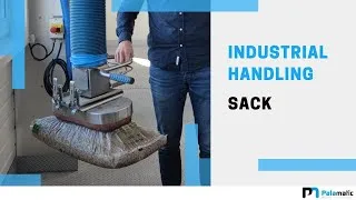 Miniature : Sack manipulator - Vacuum tube lifter - Vacuum lifting systems | Palamatic Process Inc.