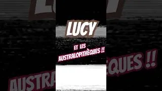 Miniature : Lucy et les Australopithèques ! #vulgarisation #science #paleontology