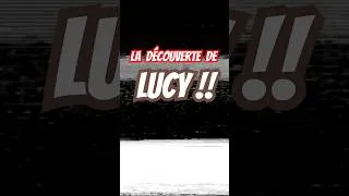 Miniature : La découverte du fossile de Lucy ! #vulgarisation #science #paleontology