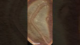 Miniature : les premiers tétrapodes ne grandissaient pas comme des amphibiens #fossile #paléontologie #science