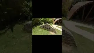 Miniature : 🌴 Palms & Horizons - Guide Expat Philippines