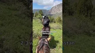 Miniature : 2-3 weeks in kazakhstan and forget 🇰🇿
