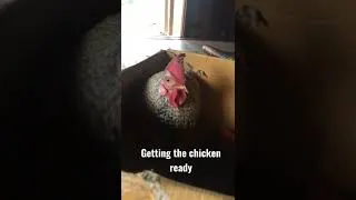 Miniature : Getting the chicken ready for the ceremony... #ceremony #god