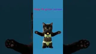 Miniature : The cat in the green bikini is funny 4k green screen #shortvideos