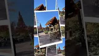 Miniature : 🎃 1er jour des vacances, grand beau temps à Disneyland  ! Attente raisonnable et ambiance Halloween