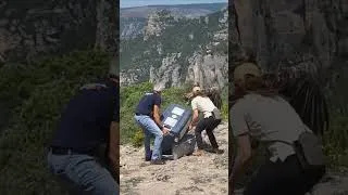Miniature : Rei del Causse relâché !