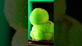 Miniature : Patrick Roger
