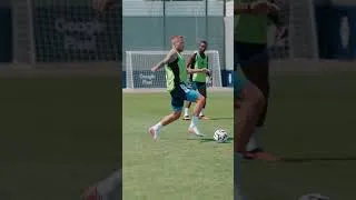 Miniature : Ciro IMMOBILE 👑🎯 #football #parisfc  #immobile