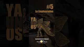Miniature : Y’a un Os ! #5 – Le Liopleurodon, le redoutable prédateur des mers jurassiques