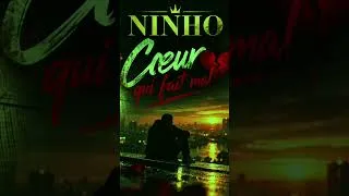 Miniature : Cœur qui fait mal 💔❤️‍🩹 Ninho IA