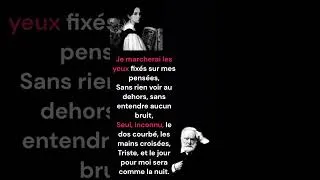 Miniature : Demain, dès l’aube…Victor Hugo
