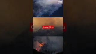 Miniature : Je n'oublierai jamais... #incendie #canicule #die