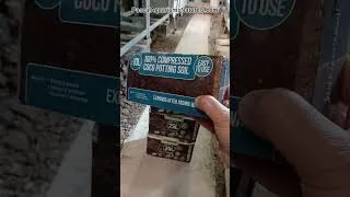 Miniature : 10L de terreau coco à 1,07 euros chez action pour plantes et terrarium.