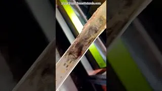 Miniature : mon éclairage tunze a explosé (aquarium récifal marin)