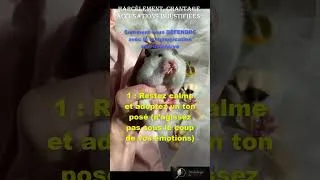 Miniature : Harcèlement, chantage, accusations : la communication non défensive en 4 étapes