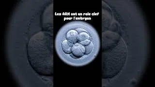 Miniature : L'Hypothèse du monde ARN, évolution, vaccin, virus ARN #biologie #vulgarisation #science #médecine