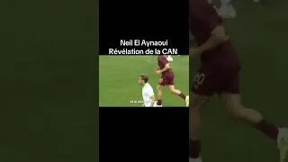 Miniature : Qui est Neil El Aynaoui? #can #football #maroc