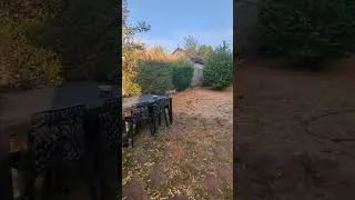 Miniature : Retour de Vacances.   Mon jardin ( 15 Août 2026) 😱😭😯😞.  Le pauvre, il a eu très chaud 🥵 🥵.