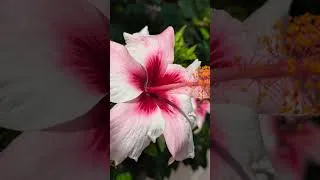 Miniature : Un peu de mes vacances Algarve Portugal ❤️😘❤️❤️