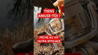 Miniature : #recap2025 Tiens amuse-toi ! – Pêche au vif ultra efficace #peche #brochet #pike