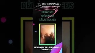 Miniature : 5 novembre 2021