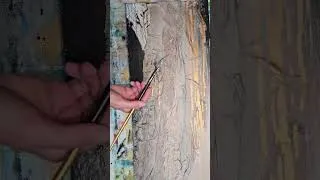 Miniature : J'ai utilisé ce papier que tout le monde jette - Voici le résultat