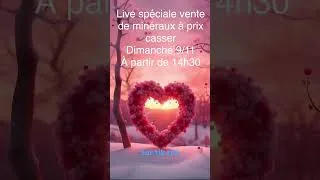 Miniature : 4 novembre 2025