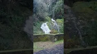 Miniature : I found the Fountain of Youth!