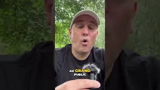Miniature : IA pour tous: Révolution créative accessible à tous!