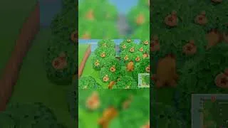 Miniature : forêt à clochettes