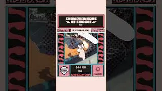 Miniature : Les championnats de France de skateboard du 1er au 4 juin à Pau