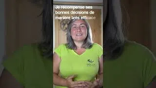 Miniature : La meilleure des récompenses