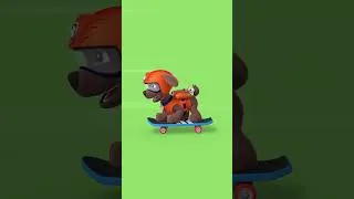 Miniature : Les chiots font du skate ! #short