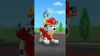 Miniature : Marcus et son jet d’eau ! #short