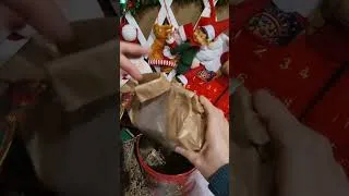 Miniature : Calendrier de l'Avent jour 24 - mercredi 24 décembre