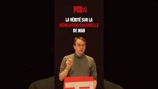 Miniature : La vérité sur la révolution culturelle de Mao