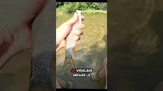 Miniature : j'avais un gros noeud dans le moulinet 🤣 #fishing #nature #noeud