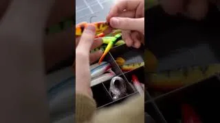 Miniature : Comment pêcher les gros brochet au leurre