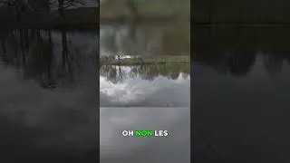 Miniature : Elle était ÉNORME et elle s'est sauvée 😱 #fishing #fail #pêche