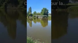 Miniature : abonne toi ! #pêche #carpe