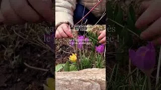 Miniature : Des enfants doux avec le vivant ? C’est possible ! 😉