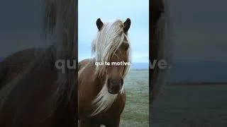 Miniature : 5 Astuces pour Rester Motivé sur le Long Terme  #developpementpersonnel #motivation #citation