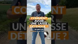 Miniature : EXERCICE POUR AVOIR UNE LAISSE DÉTENDUE ‼️🐶👍🏻