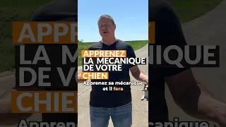 Miniature : TON CHIEN EST UNE VRAIE MACHINE 🐶🦾✅