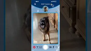 Miniature : TRADUCTEUR UNIQUE AU MONDE POUR CHIENS ‼️🐶🌍