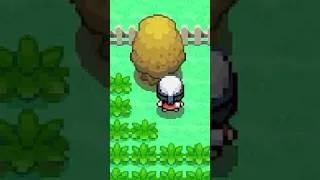 Miniature : Titre ?! – Mélissa et les arbres à miel sur Pokémon Platine 🍯