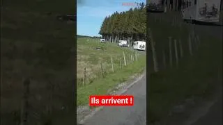 Miniature : Ils envahissent ce VILLAGE français ! 😮