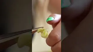Miniature : Faire des boucles d'oreilles en 5 min ? c'est possible !