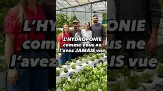 Miniature : L’hydroponie, véritable solution du futur