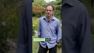 Miniature : 10 000 € pour une piscine naturelle en autoconstruction